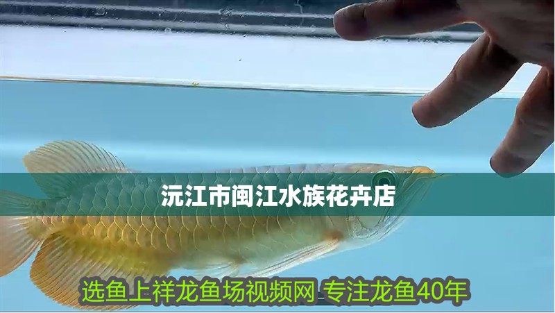 沅江市閩江水族花卉店