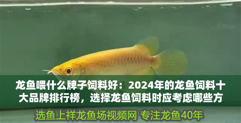 龍魚喂什么牌子飼料好：2024年的龍魚飼料十大品牌排行榜，選擇龍魚飼料時應考慮哪些方面