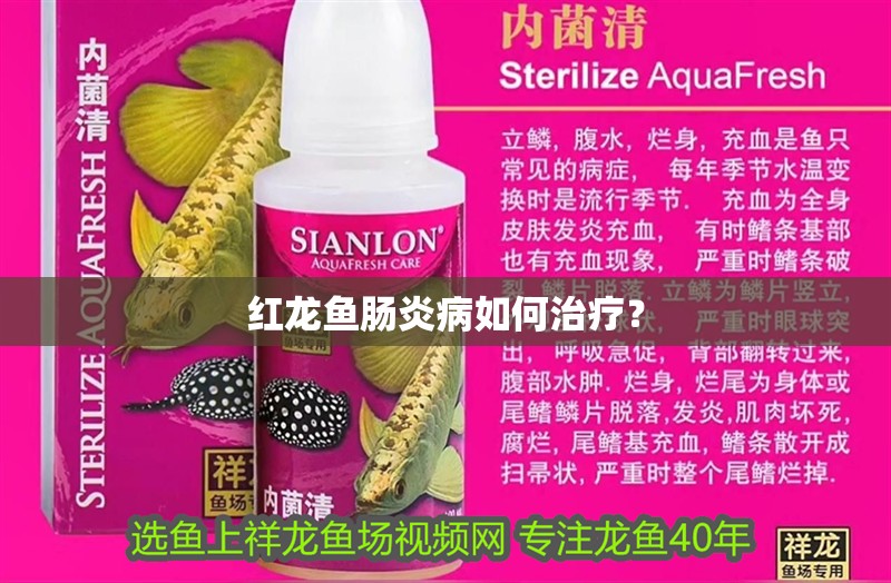 魚缸用增氧泵價格是多少:魚缸增氧機(jī)-xtrac增氧機(jī)-xtrac增氧機(jī) 紅龍魚腸炎病如何治療? 龍魚論壇 紅龍魚腸炎病如何治療? 紅龍魚腸炎病如何治療? 龍魚論壇