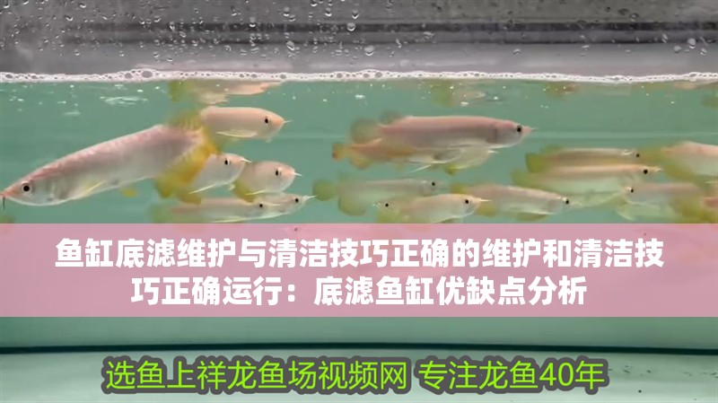 魚缸底濾維護(hù)與清潔技巧正確的維護(hù)和清潔技巧正確運(yùn)行：底濾魚缸優(yōu)缺點(diǎn)分析