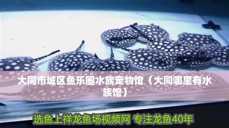 大同市城區魚樂圈水族寵物館（大同哪里有水族館）