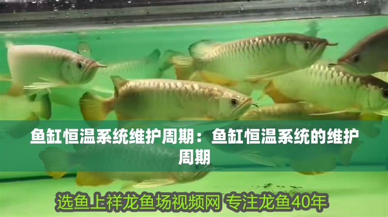 魚缸恒溫系統維護周期：魚缸恒溫系統的維護周期