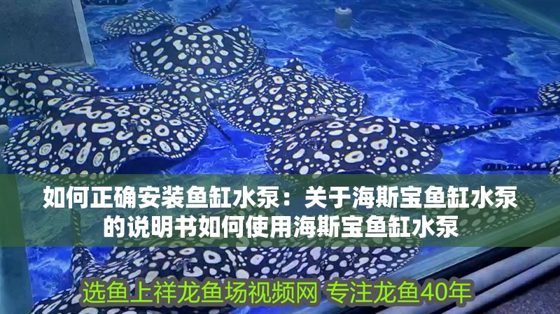 如何正確安裝魚缸水泵：關于海斯寶魚缸水泵的說明書如何使用海斯寶魚缸水泵