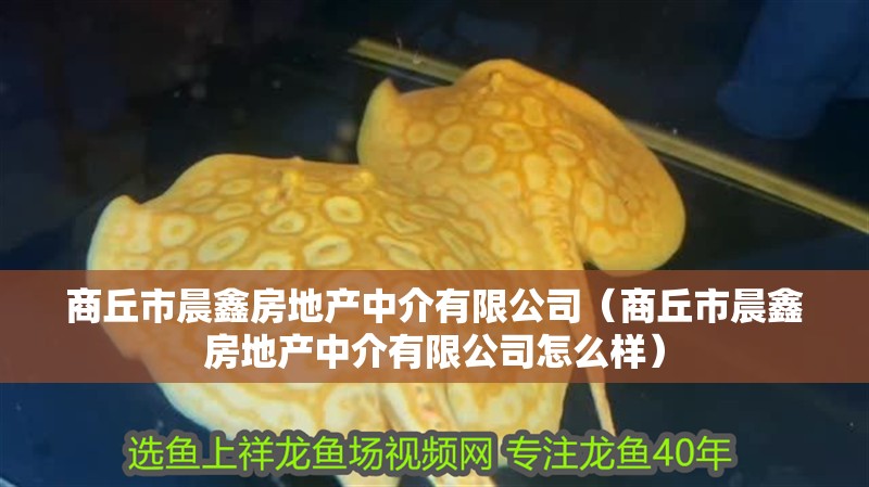 <strong><mark>商丘</mark></strong>市晨鑫房地產(chǎn)中介有限公司（<strong><mark>商丘</mark></strong>市晨鑫房地產(chǎn)中介有限公司怎么樣）