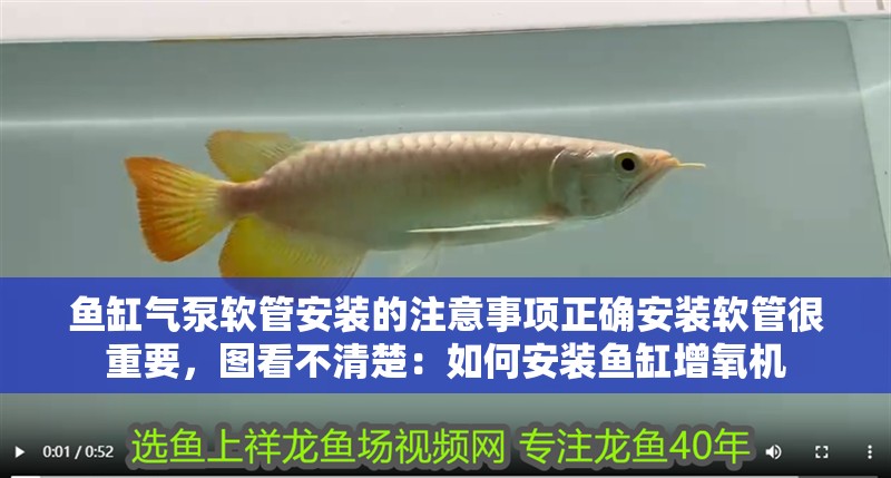 魚缸氣泵軟管安裝的注意事項正確安裝軟管很重要，圖看不清楚：如何安裝魚缸增氧機
