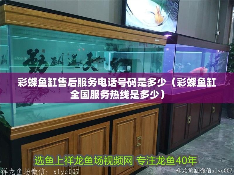 彩蝶魚缸售后服務電話號碼是多少（彩蝶魚缸全國服務熱線是多少）