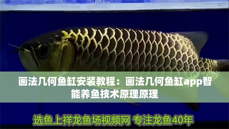 畫法幾何魚缸安裝教程：畫法幾何魚缸app智能養(yǎng)魚技術原理原理