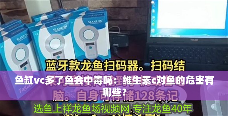 魚缸vc多了魚會中毒嗎：維生素c對魚的危害有哪些？