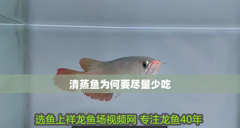 清蒸魚為何要盡量少吃