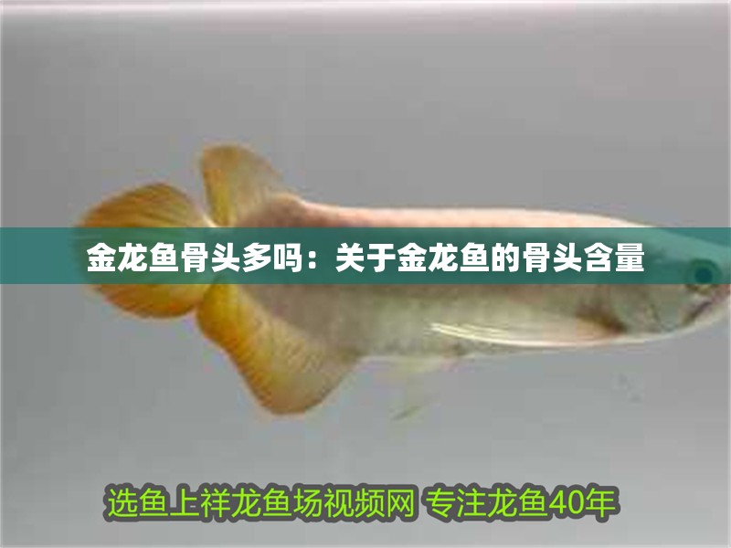 魚缸過濾器選購指南:自制魚缸過濾器魚缸上置過濾器對(duì)于養(yǎng)魚愛好者的必備知識(shí) 金龍魚骨頭多嗎:關(guān)于金龍魚的骨頭含量 龍魚百科 金龍魚骨頭多嗎:關(guān)于金龍魚的骨頭含量 金龍魚骨頭多嗎:關(guān)于金龍魚的骨頭含量 龍魚百科