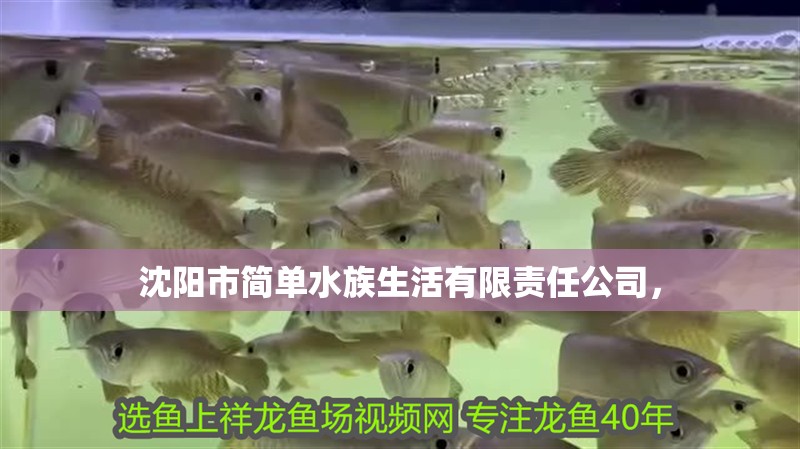 沈陽市簡單水族生活有限責任公司，