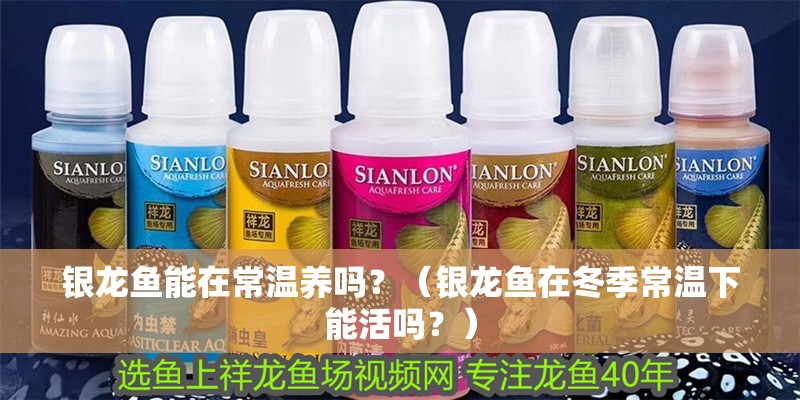 什么魚能和龍魚、虎魚混養(龍魚能和虎魚混養嗎) 銀龍魚能在常溫養嗎?(銀龍魚在冬季常溫下能活嗎?) 龍魚百科 銀龍魚能在常溫養嗎?(銀龍魚在冬季常溫下能活嗎?) 銀龍魚能在常溫養嗎?(銀龍魚在冬季常溫下能活嗎?) 龍魚百科