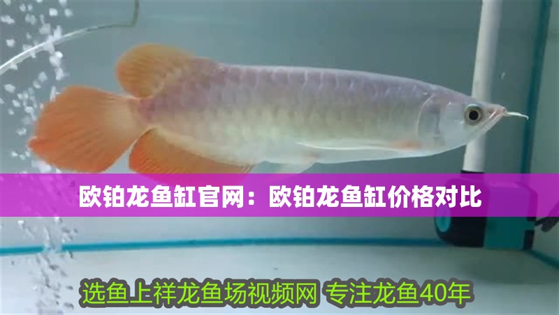 歐鉑龍魚缸官網：歐鉑龍魚缸價格對比