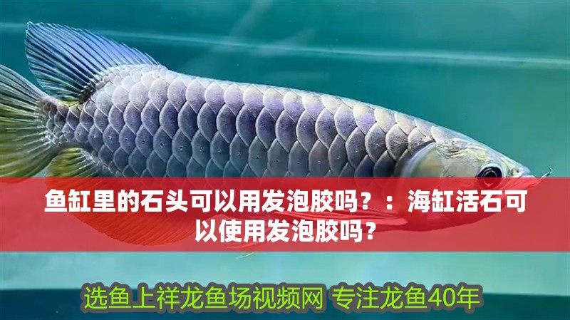 魚缸里的石頭可以用發(fā)泡膠嗎？：海缸活石可以使用發(fā)泡膠嗎？ 魚缸里的石頭可以用發(fā)泡膠嗎？：海缸活石可以使用發(fā)泡膠嗎？ 魚缸百科