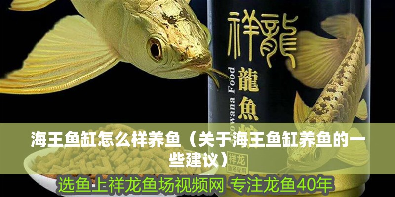 海王魚缸怎么樣養(yǎng)魚（關(guān)于海王魚缸養(yǎng)魚的一些建議）