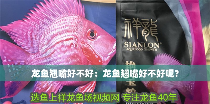 龍魚翹嘴好不好：龍魚翹嘴好不好呢？