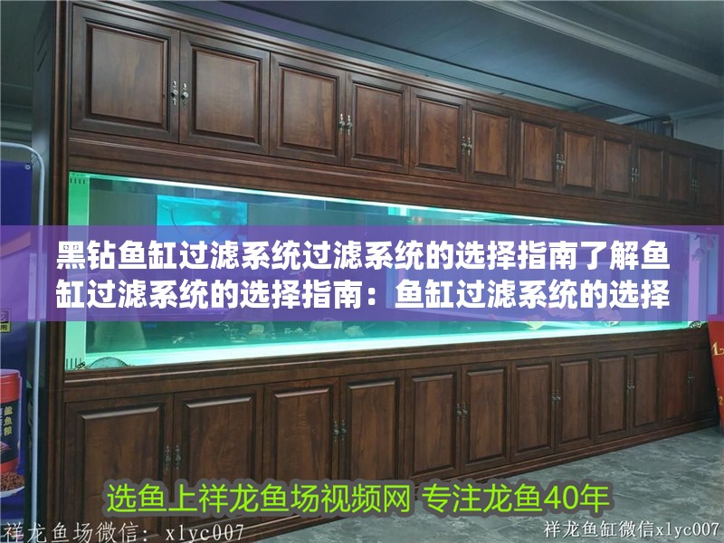 黑鉆魚缸過濾系統(tǒng)過濾系統(tǒng)的選擇指南了解魚缸過濾系統(tǒng)的選擇指南：魚缸過濾系統(tǒng)的選擇指南 黑鉆魚缸過濾系統(tǒng)過濾系統(tǒng)的選擇指南了解魚缸過濾系統(tǒng)的選擇指南：魚缸過濾系統(tǒng)的選擇指南 魚缸百科