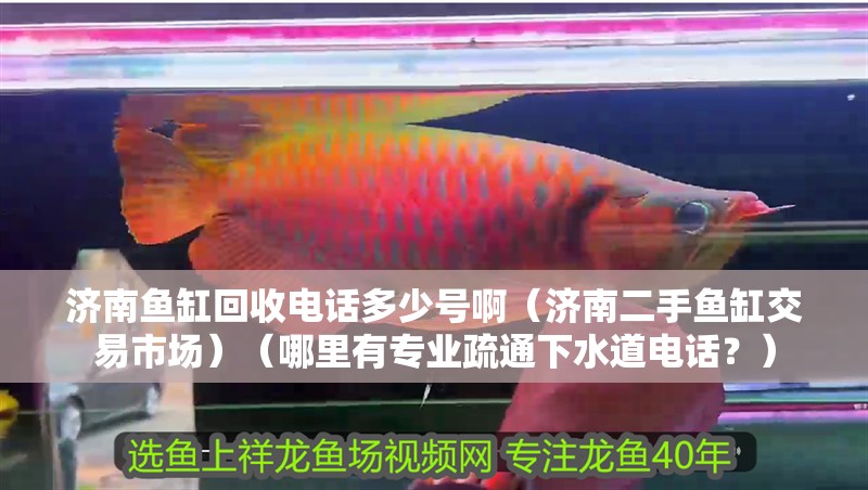 濟南魚缸回收電話多少號?。隙拄~缸交易市場）（哪里有專業疏通下水道電話？）