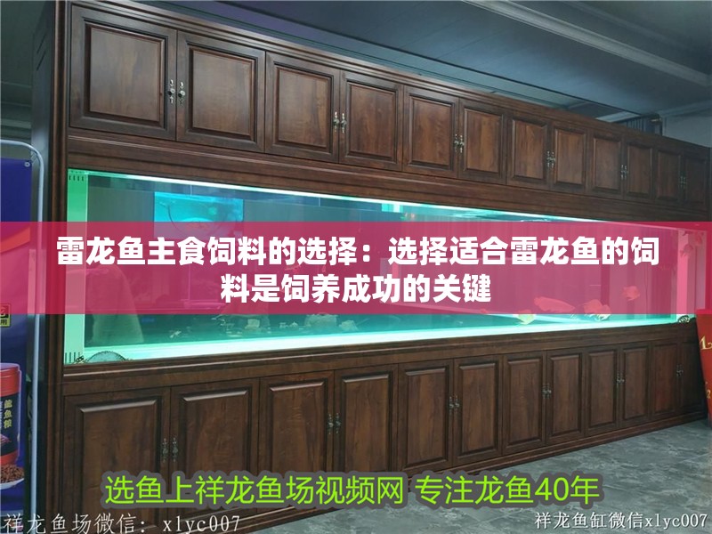 雷龍魚主食飼料的選擇：選擇適合雷龍魚的飼料是飼養成功的關鍵 雷龍魚主食飼料的選擇：選擇適合雷龍魚的飼料是飼養成功的關鍵 龍魚百科