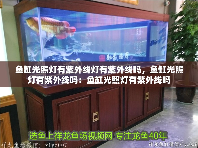 鸚鵡魚和銀龍魚混養怎樣喂食 魚缸光照燈有紫外線燈有紫外線嗎,魚缸光照燈有紫外線嗎:魚缸光照燈有紫外線嗎 魚缸百科 魚缸光照燈有紫外線燈有紫外線嗎,魚缸光照燈有紫外線嗎:魚缸光照燈有紫外線嗎 魚缸光照燈有紫外線燈有紫外線嗎,魚缸光照燈有紫外線嗎:魚缸光照燈有紫外線嗎 魚缸百科