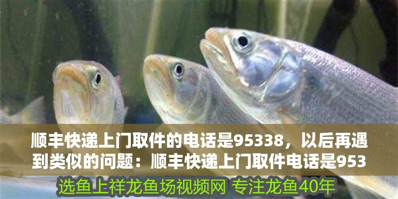 順豐快遞上門取件的電話是95338，以后再遇到類似的問題：順豐快遞上門取件電話是95338,你知道嗎？