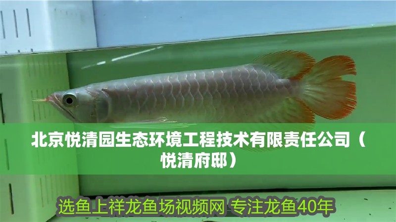 <strong><mark>北京</mark></strong>悅清園生態(tài)環(huán)境工程技術有限責任公司（悅清府?。? title=
