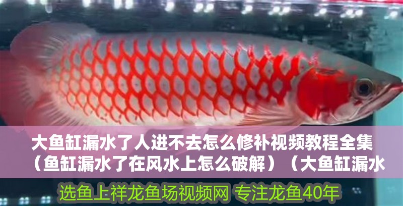 大魚缸漏水了人進(jìn)不去怎么修補(bǔ)視頻教程全集（魚缸漏水了在風(fēng)水上怎么破解）（大魚缸漏水了人進(jìn)不去怎么修補(bǔ)視頻教程全集）