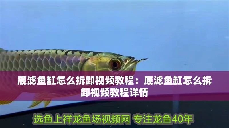 底濾魚缸怎么拆卸視頻教程：底濾魚缸怎么拆卸視頻教程詳情