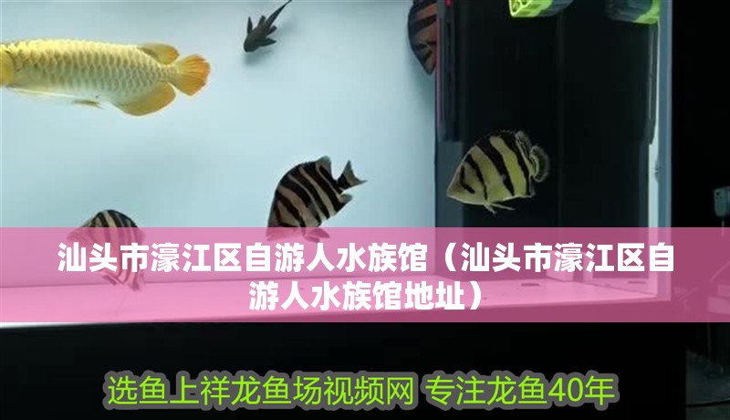 汕頭市濠江區自游人水族館（汕頭市濠江區自游人水族館地址）