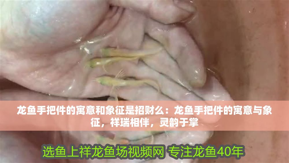 龍魚手把件的寓意和象征是招財么：龍魚手把件的寓意與象征，祥瑞相伴，靈韻于掌 龍魚手把件的寓意和象征是招財么：龍魚手把件的寓意與象征，祥瑞相伴，靈韻于掌 龍魚百科 第1張