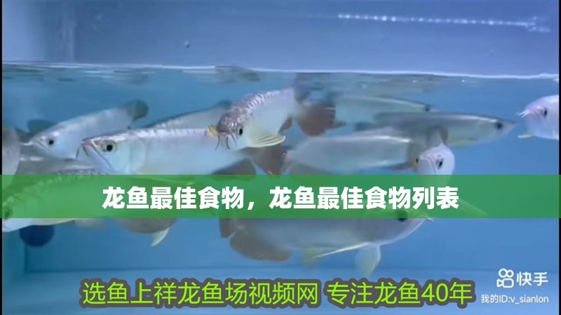 龍魚最佳食物，龍魚最佳食物列表