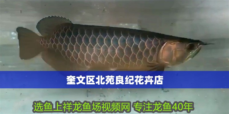 奎文區(qū)北苑良紀(jì)花卉店