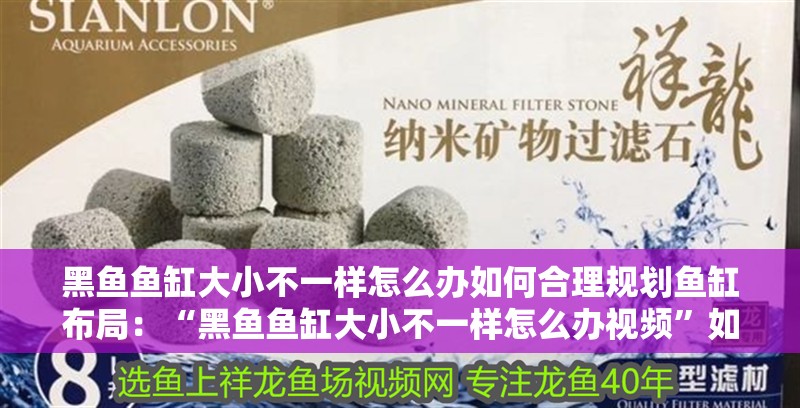 黑魚魚缸大小不一樣怎么辦如何合理規劃魚缸布局：“黑魚魚缸大小不一樣怎么辦視頻”如何合理規劃魚缸布局