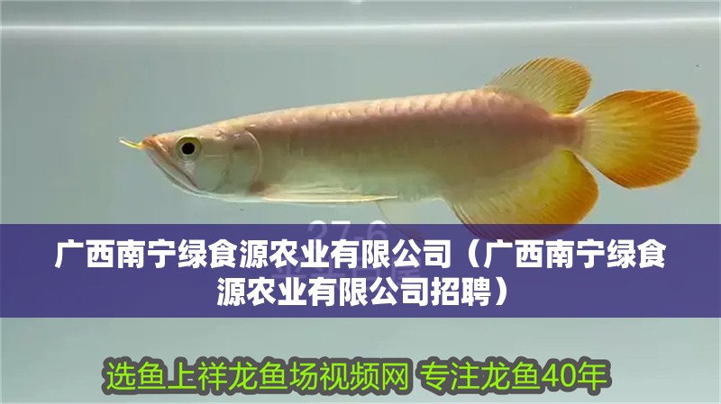 廣西南寧綠食源農(nóng)業(yè)有限公司（廣西南寧綠食源農(nóng)業(yè)有限公司招聘） 廣西南寧綠食源農(nóng)業(yè)有限公司（廣西南寧綠食源農(nóng)業(yè)有限公司招聘） 全國水族館企業(yè)名錄
