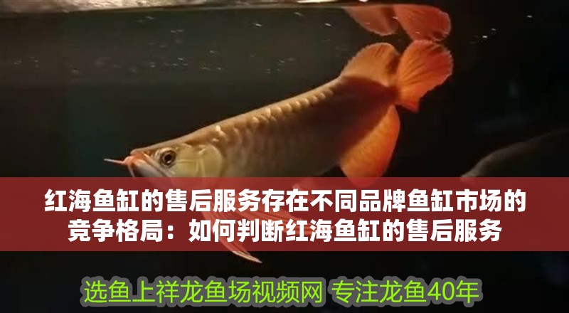 紅海魚缸的售后服務存在不同品牌魚缸市場的競爭格局：如何判斷紅海魚缸的售后服務