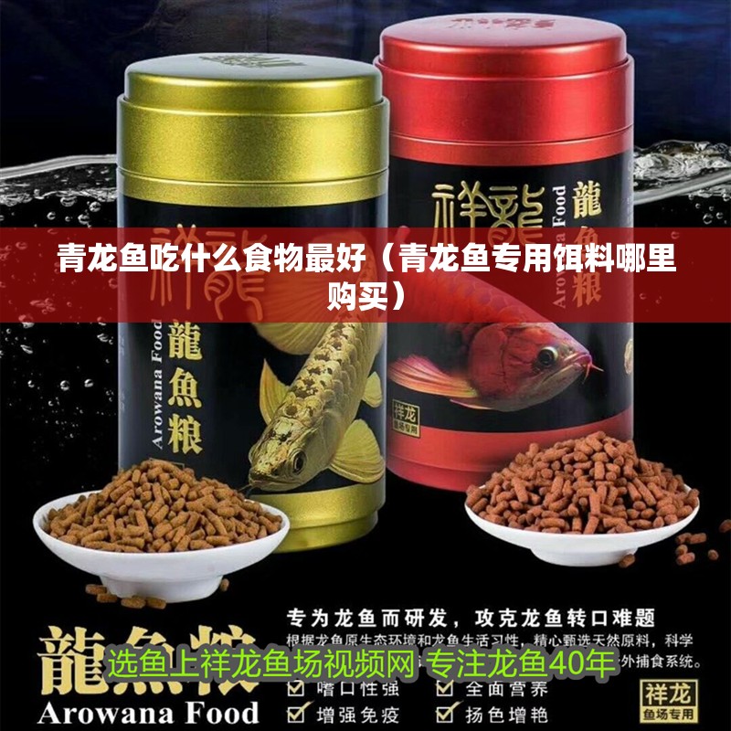 青龍魚吃什么食物最好（青龍魚專用餌料哪里購買） 青龍魚吃什么食物最好（青龍魚專用餌料哪里購買） 龍魚百科