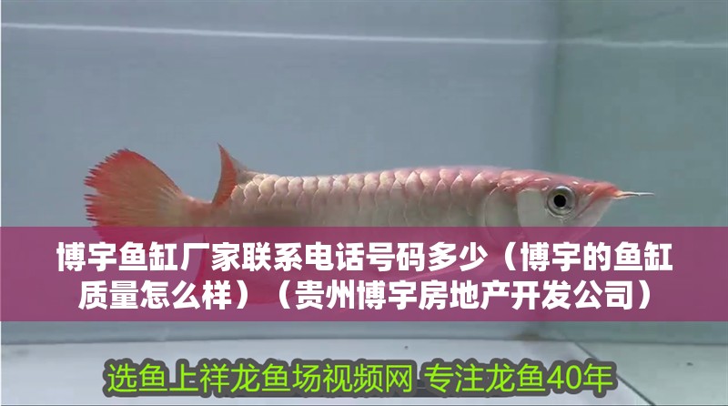 魚缸用增氧泵價格是多少:魚缸增氧機-xtrac增氧機-xtrac增氧機 博宇魚缸廠家聯(lián)系電話號碼多少(博宇的魚缸質(zhì)量怎么樣)(貴州博宇房地產(chǎn)開發(fā)公司) 魚缸百科 博宇魚缸廠家聯(lián)系電話號碼多少(博宇的魚缸質(zhì)量怎么樣)(貴州博宇房地產(chǎn)開發(fā)公司) 博宇魚缸廠家聯(lián)系電話號碼多少(博宇的魚缸質(zhì)量怎么樣)(貴州博宇房地產(chǎn)開發(fā)公司) 魚缸百科