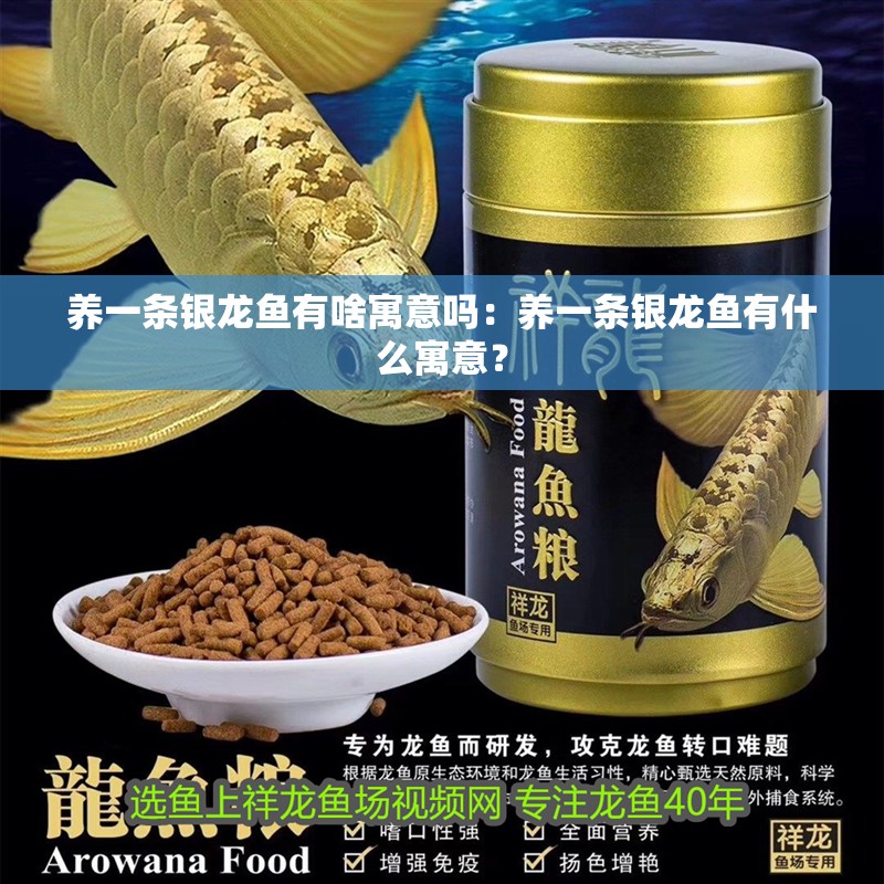 養一條銀龍魚有啥寓意嗎：養一條銀龍魚有什么寓意？