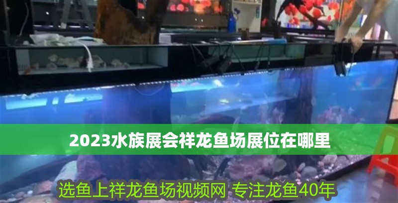 2023水族展會祥龍魚場展位在哪里
