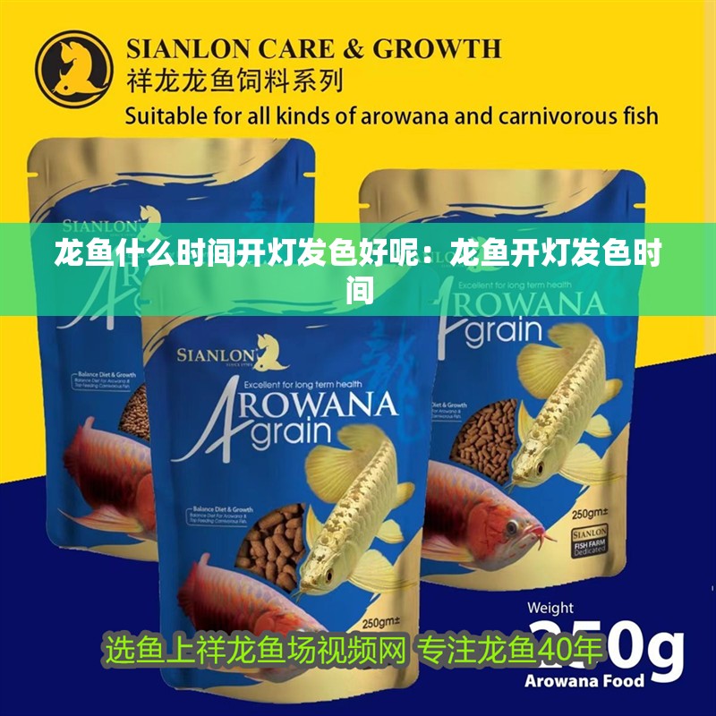 龍魚什么時間開燈發色好呢：龍魚開燈發色時間