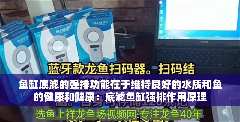 魚缸底濾的強排功能在于維持良好的水質和魚的健康和健康：底濾魚缸強排作用原理