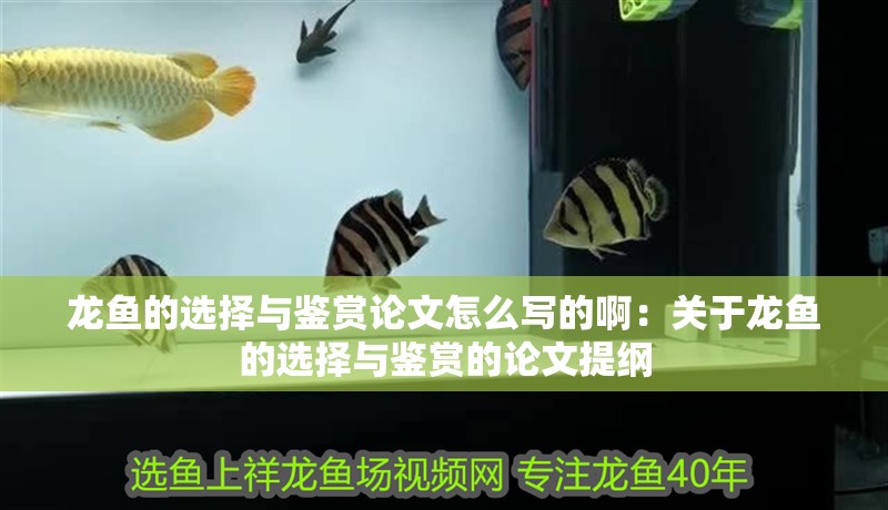 龍魚的選擇與鑒賞論文怎么寫的啊：關于龍魚的選擇與鑒賞的論文提綱