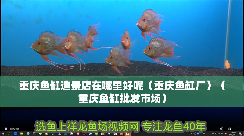 重慶魚缸造景店在哪里好呢（重慶魚缸廠）（重慶魚缸批發(fā)市場(chǎng)）