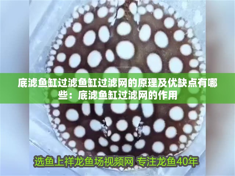底濾魚缸過(guò)濾魚缸過(guò)濾網(wǎng)的原理及優(yōu)缺點(diǎn)有哪些：底濾魚缸過(guò)濾網(wǎng)的作用
