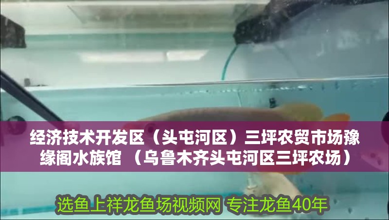 經濟技術開發區（頭屯河區）三坪農貿市場豫緣閣水族館 （烏魯木齊頭屯河區三坪農場） 經濟技術開發區（頭屯河區）三坪農貿市場豫緣閣水族館 （烏魯木齊頭屯河區三坪農場） 全國水族館企業名錄