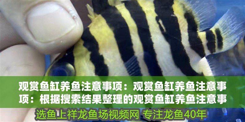 觀賞魚缸養魚注意事項：觀賞魚缸養魚注意事項：根據搜索結果整理的觀賞魚缸養魚注意事項