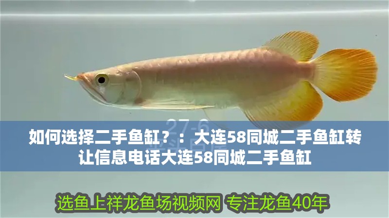 如何選擇二手魚缸？：大連58同城二手魚缸轉讓信息電話大連58同城二手魚缸