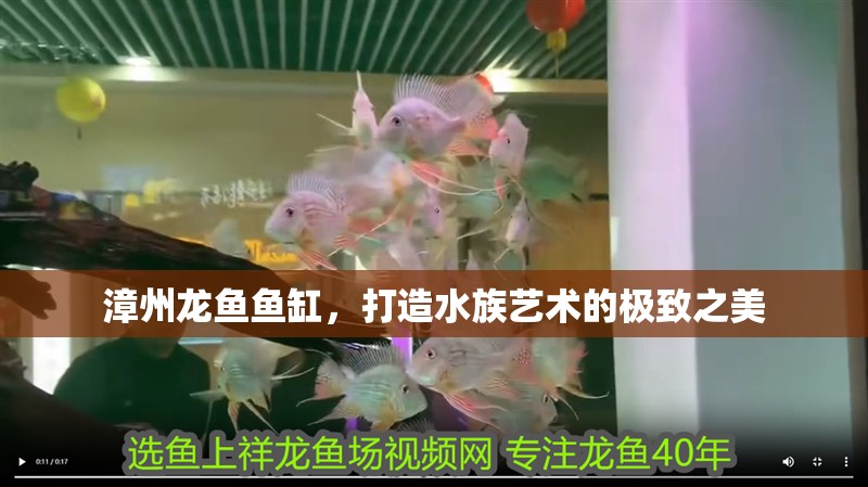 漳州龍魚魚缸，打造水族藝術的極致之美