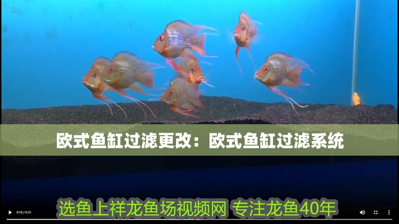 歐式魚缸過濾更改：歐式魚缸過濾系統 歐式魚缸過濾更改：歐式魚缸過濾系統 魚缸百科