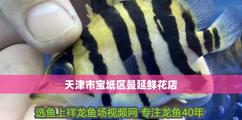 天津市寶坻區(qū)曼延鮮花店